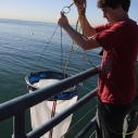 santa monica pier aquarium SMASH carousel middle school catalina island